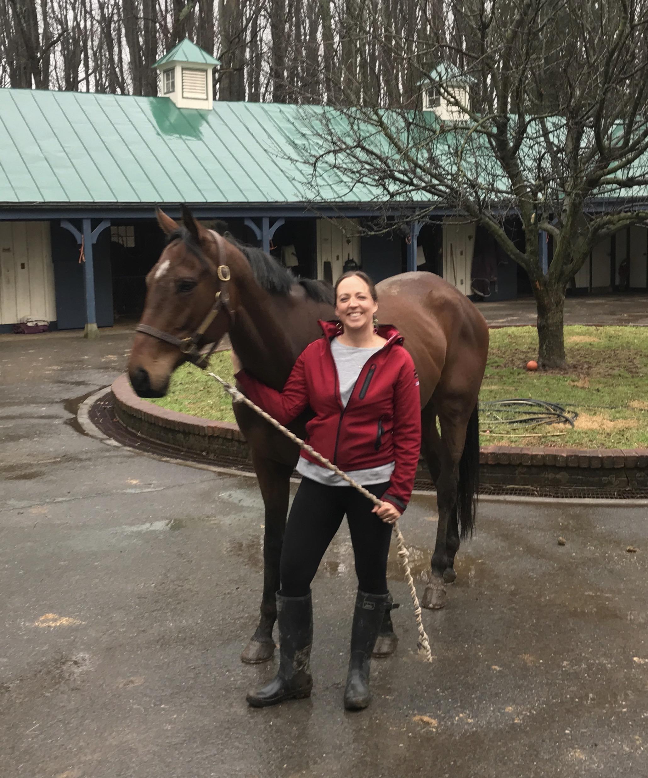 So You Want to Get An OTTB, Part I: Swipe Right or Left