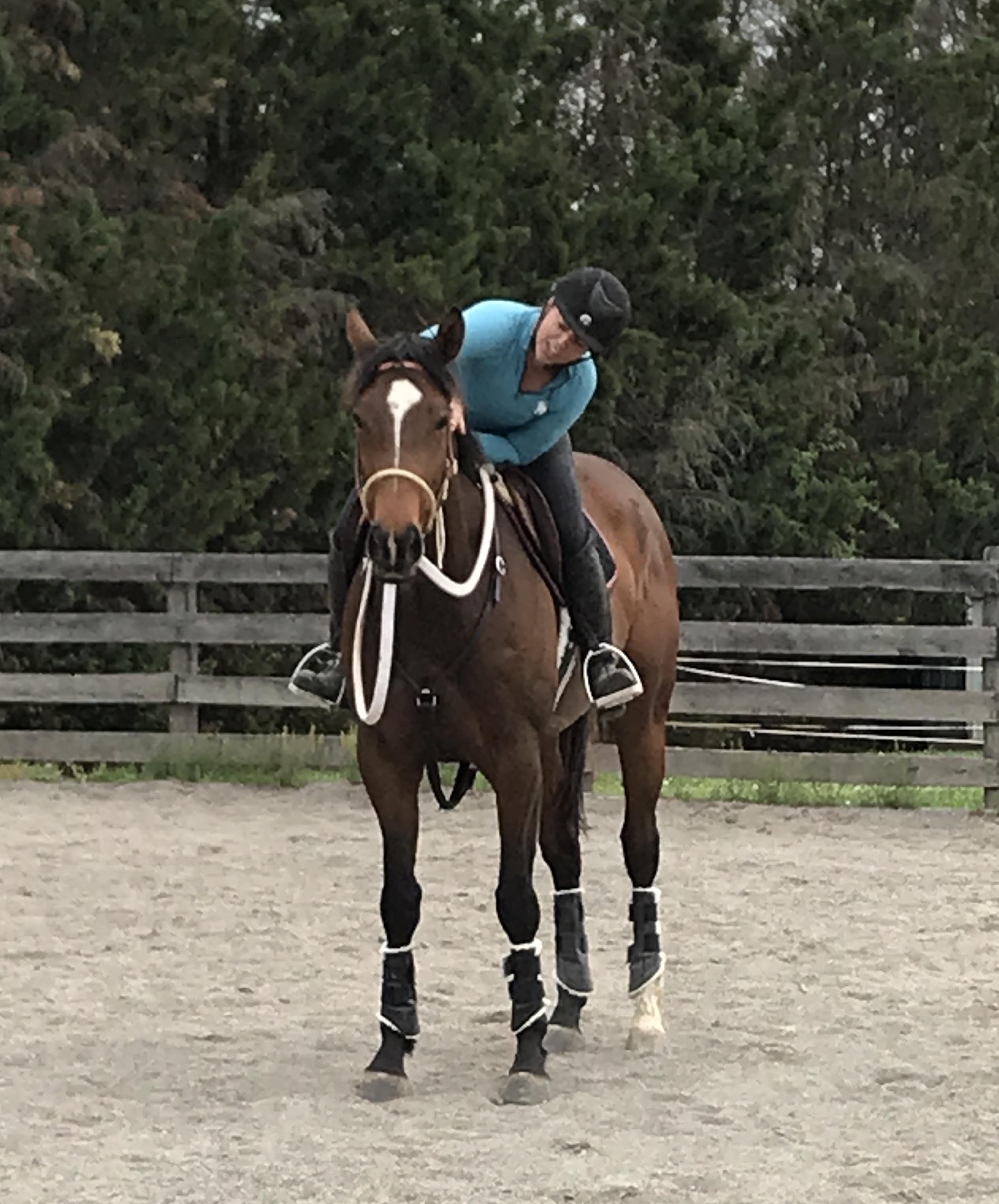So You Want to Get an OTTB, Part III: Creating a Lasting Relationship