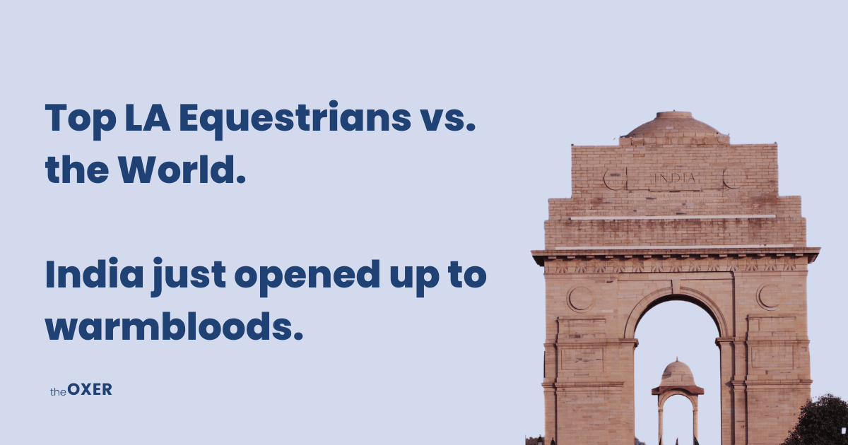The Warmblood Horse Tax in India Was Eliminated
