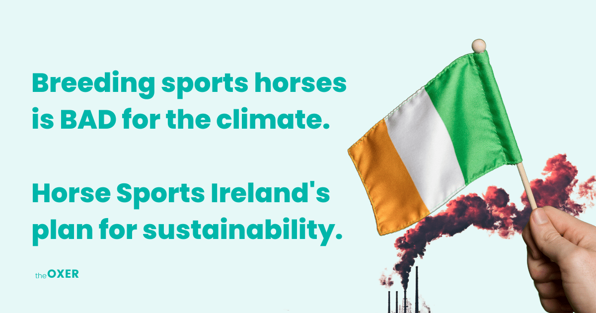 Breeding sports horses is bad for the climate
