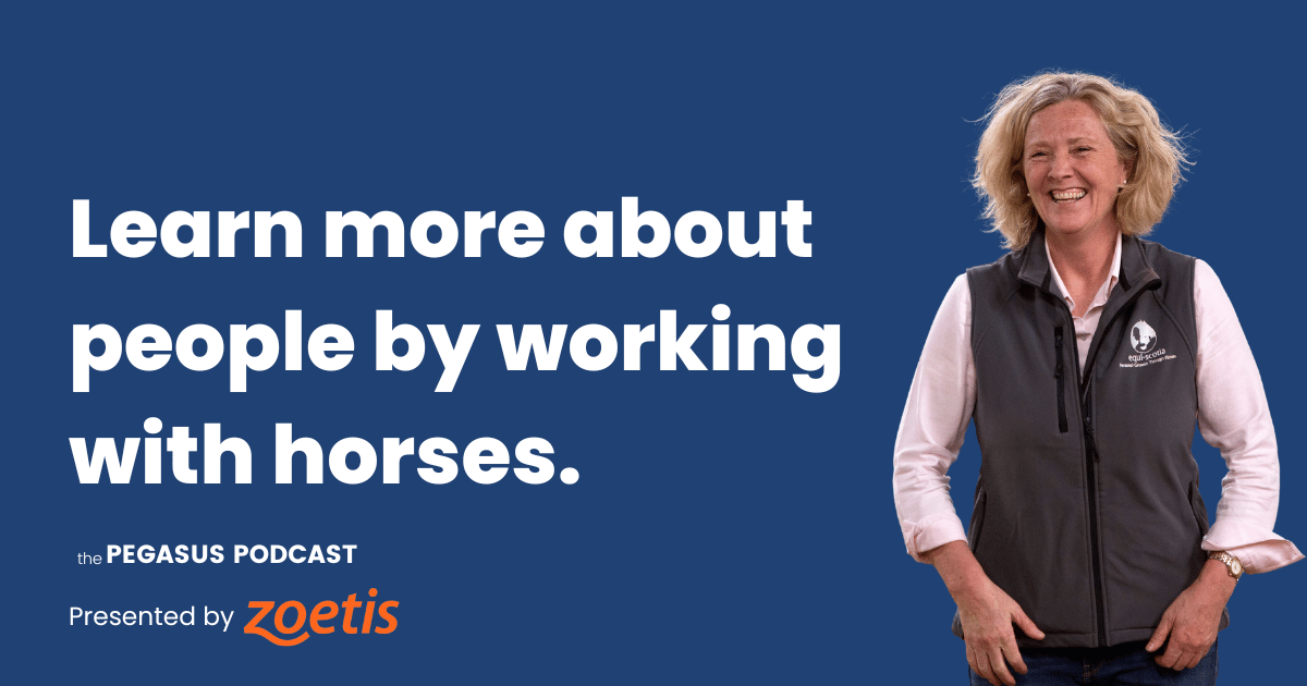 How You Can Learn Office Dynamics by Working with Horses