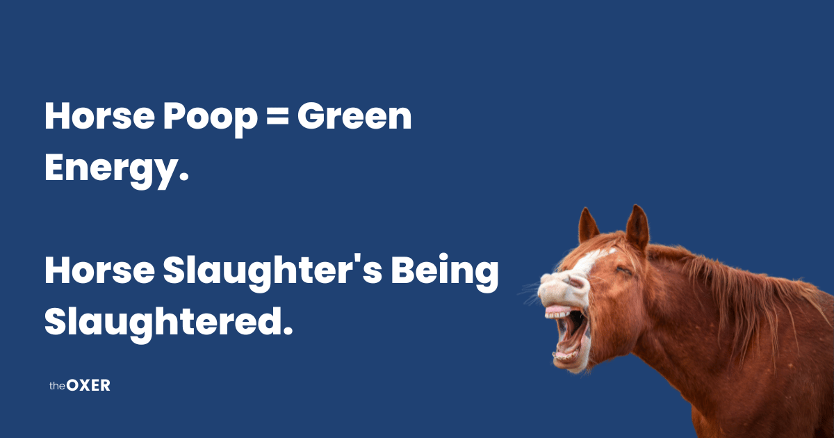 Turning Horse Poop Into Energy