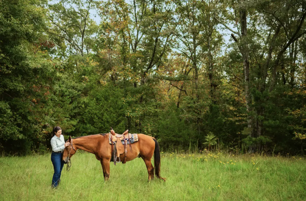 Protecting Horses From West Nile Virus: Mosquito Reduction and Vaccination Strategies