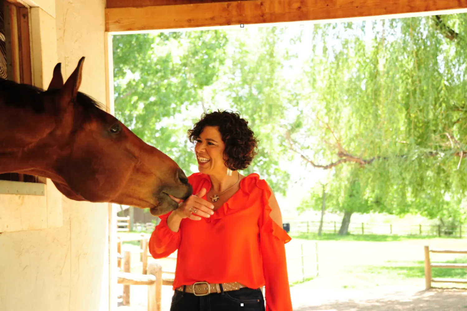 Supporting Equine Veterinarians: A Path to Career-Life Balance