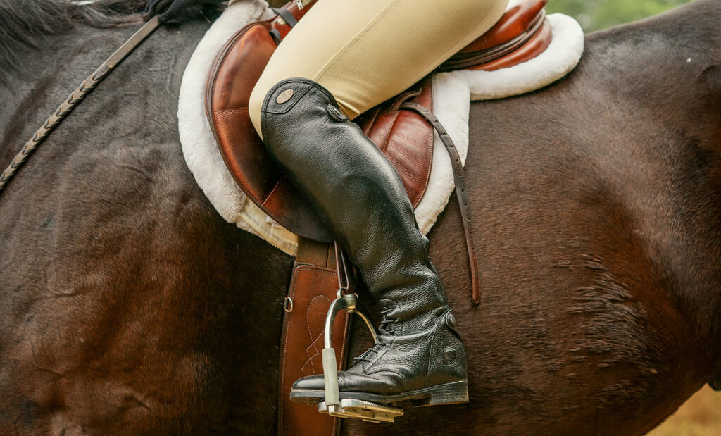 Show-Stopping Biosecurity: A Horse Show Veterinarian’s Personal Experience