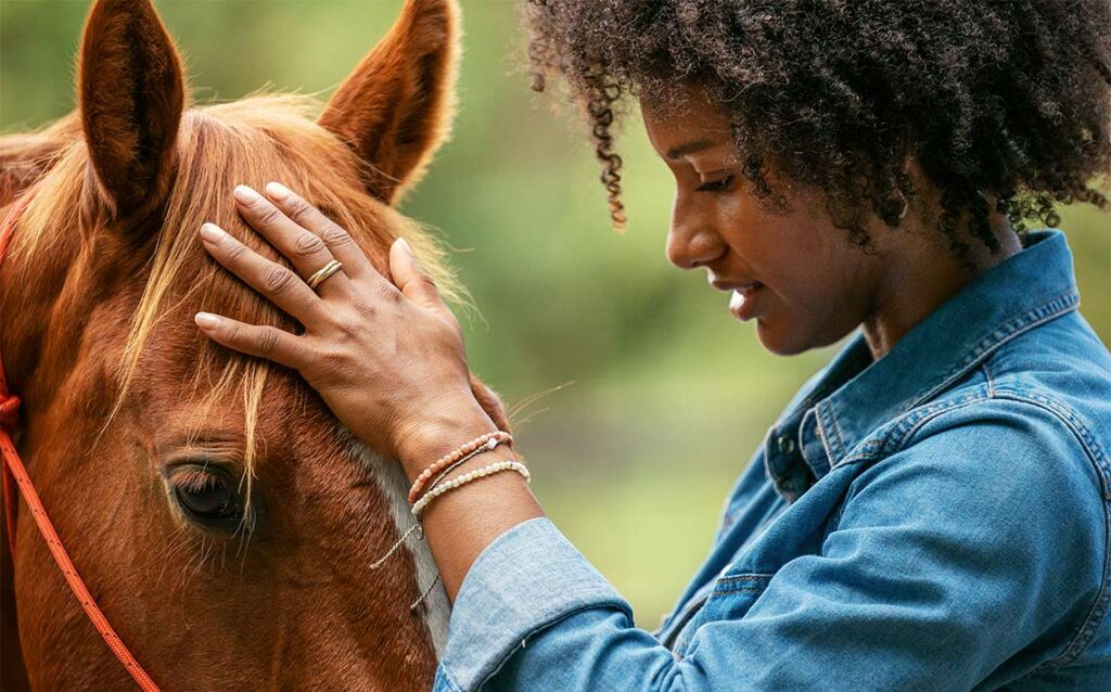Flies Are More Than a Nuisance: Tips For Preventing Summer Sores