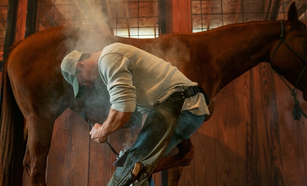 Tips to Prepare for Successful Hoof Care Visits