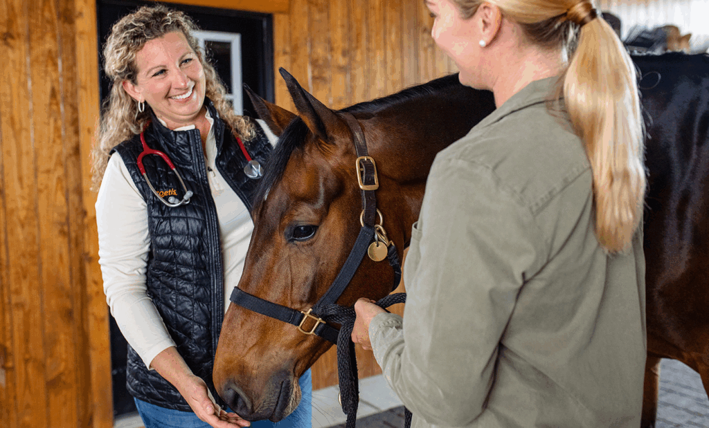 Equine Sedation: A Comprehensive Guide for Horse Owners