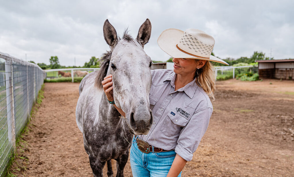 Old Souls, New Beginnings: Why Senior Horse Adoption Matters
